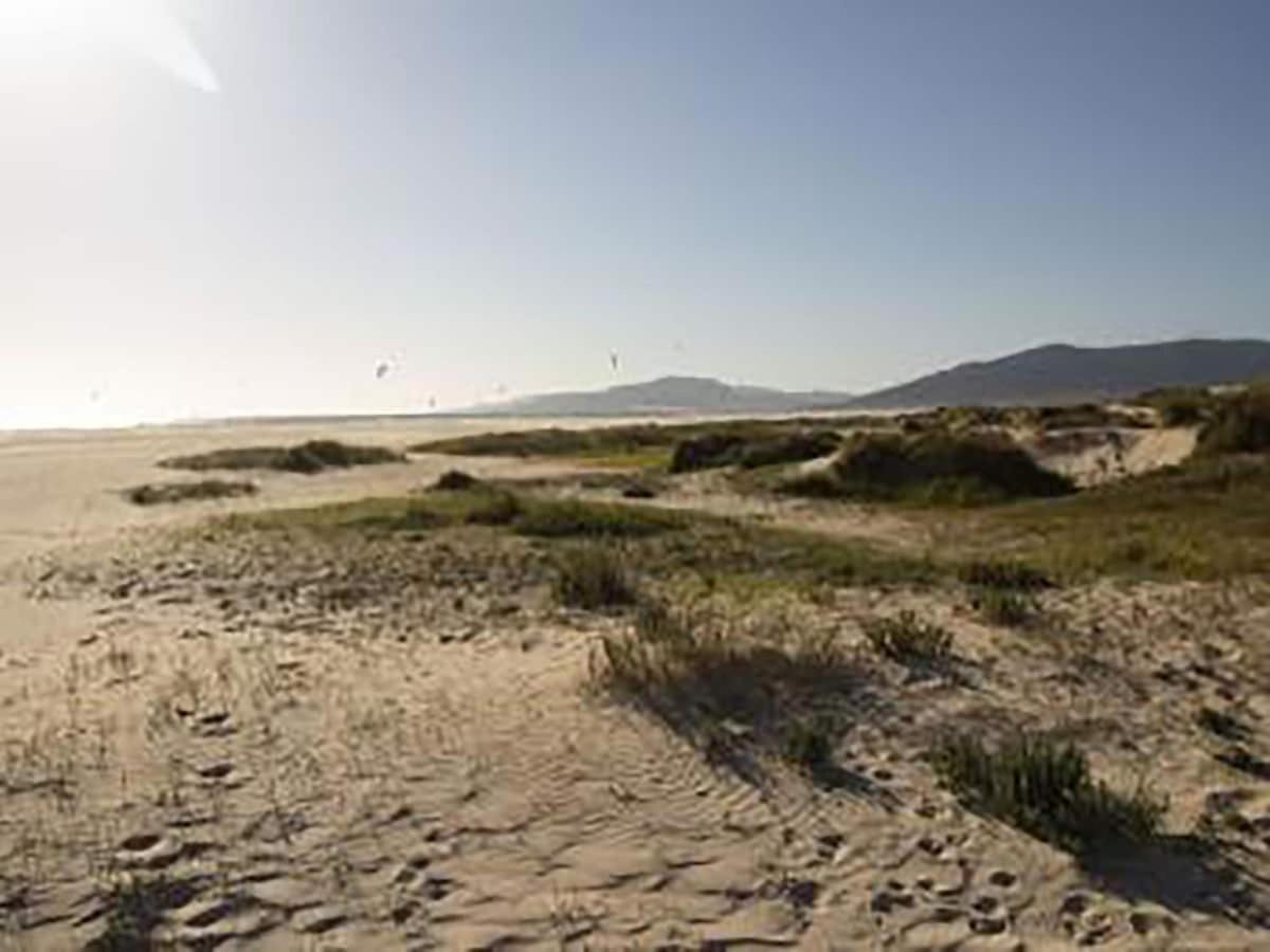 Lightbooking Mirador I Tarifa Dış mekan fotoğraf